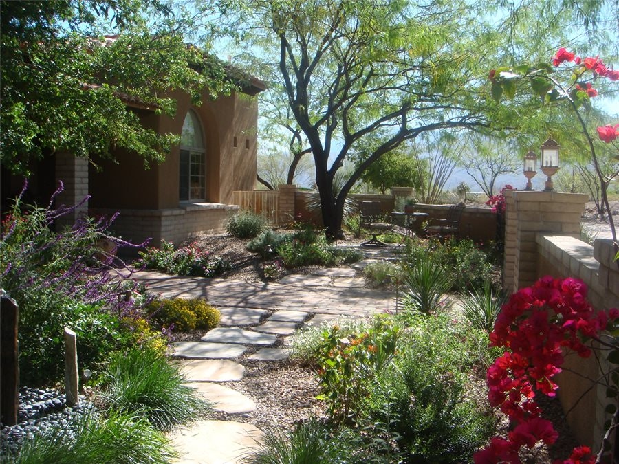 Sustainable Yard Design