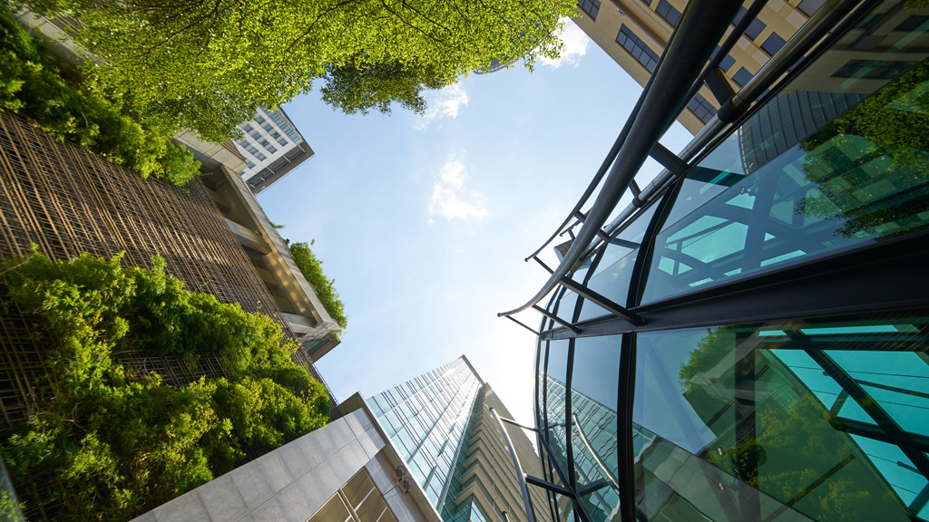 Navigating Building Codes